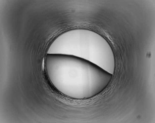 X0000101100027200806261055