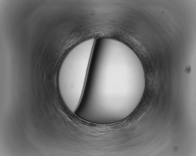 X0000101100028200806261055