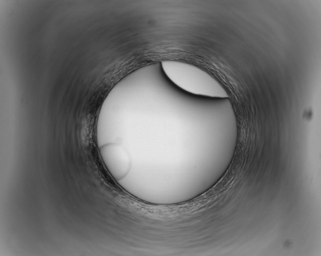 X0000101100030200806261055
