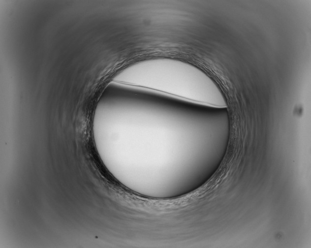 X0000101100031200806261055