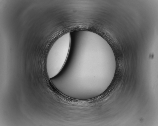 X0000101100032200806261055