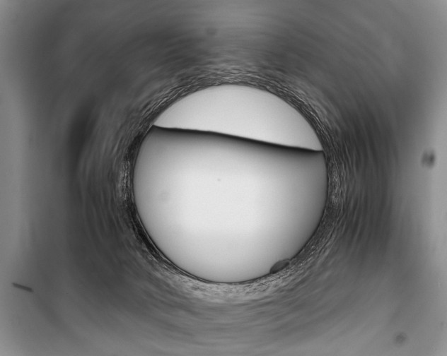 X0000101100034200806261055