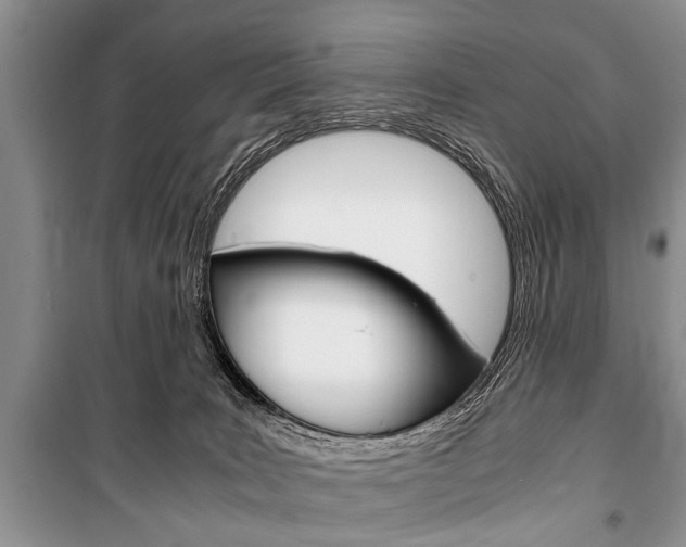 X0000101100035200806261055