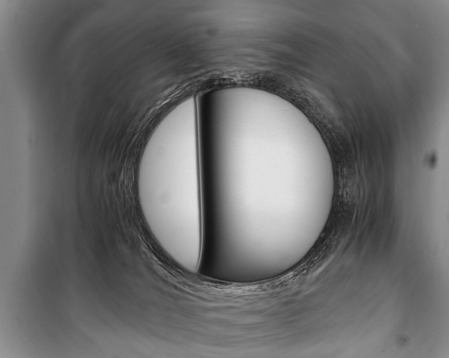 X0000101100036200806261055