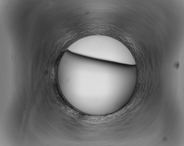 X0000101100037200806261055