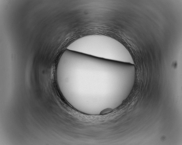 X0000101100038200806261055