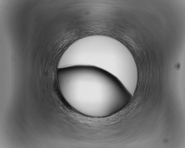 X0000101100039200806261055
