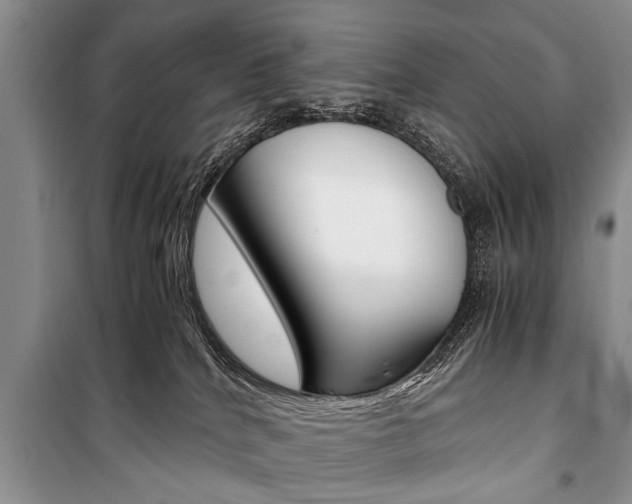 X0000101100040200806261055