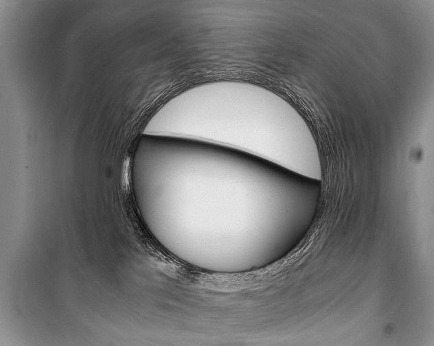 X0000101100041200806261055
