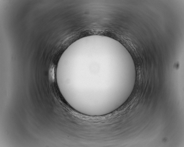 X0000101100042200806261055