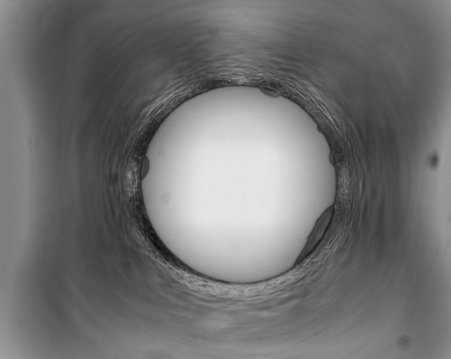 X0000101100043200806261055
