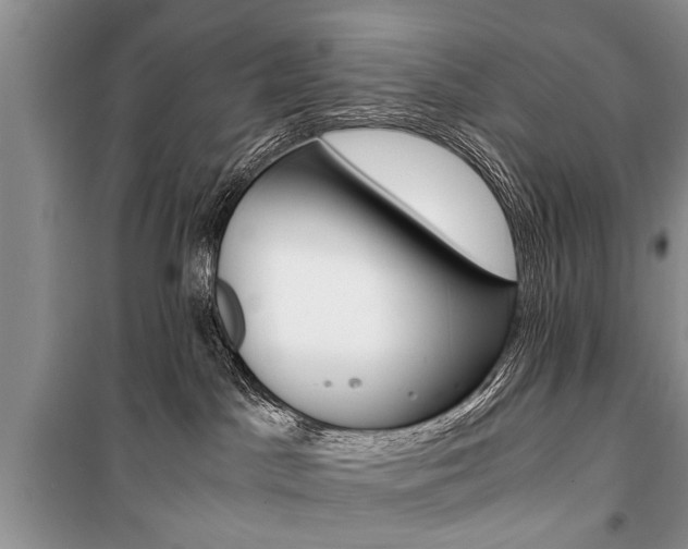 X0000101100045200806261055