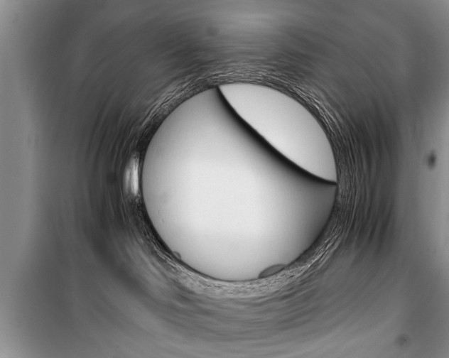 X0000101100046200806261055
