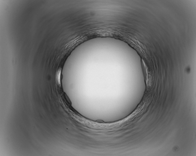 X0000101100047200806261055