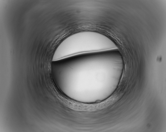 X0000101100048200806261055