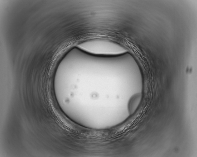 X0000101100049200806261054