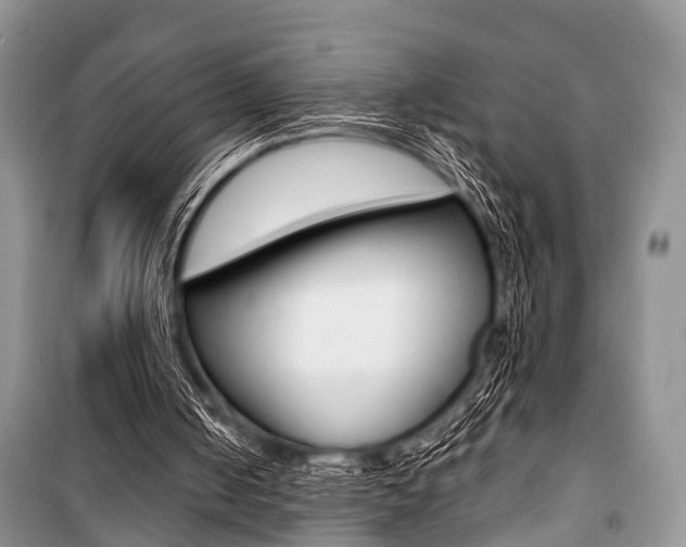 X0000101100050200806261054