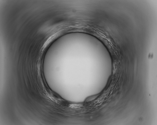 X0000101100051200806261054