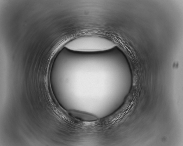 X0000101100052200806261054