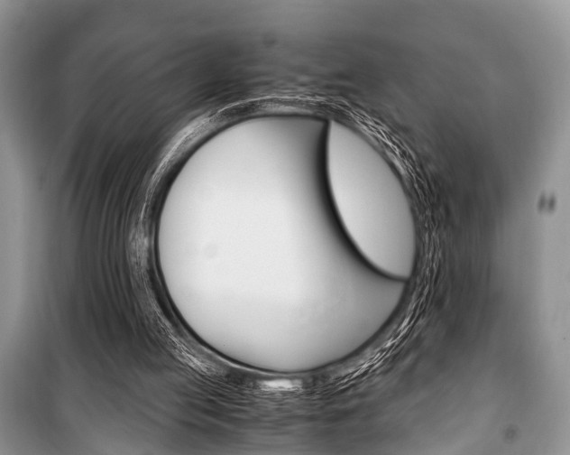 X0000101100053200806261054