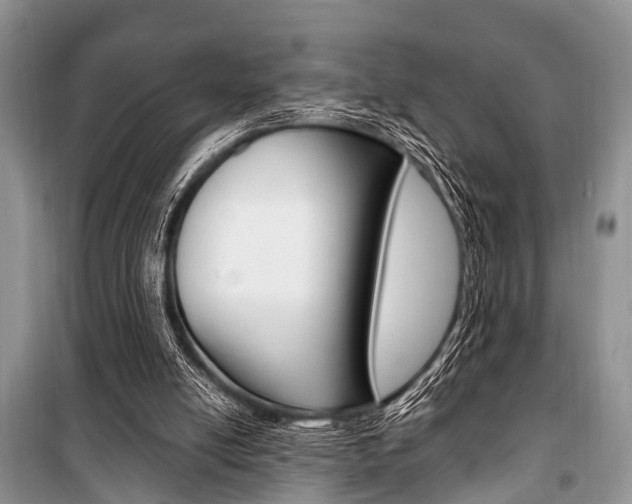 X0000101100054200806261054