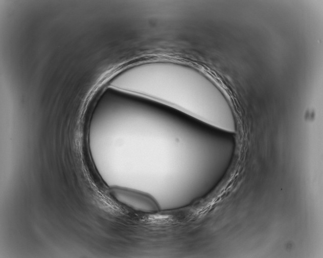 X0000101100055200806261054