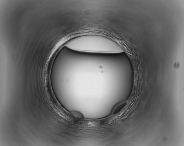 X0000101100056200806261054