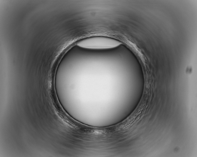 X0000101100060200806261054
