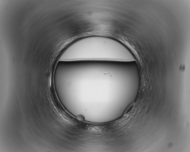 X0000101100062200806261054