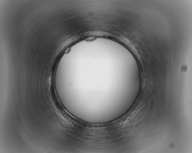 X0000101100063200806261054