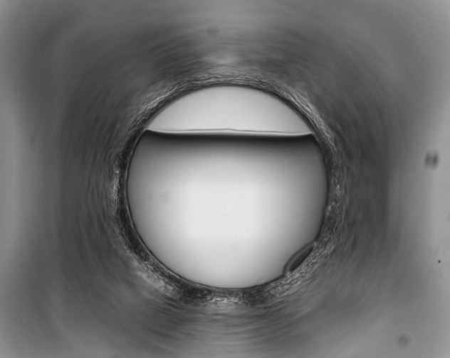 X0000101100066200806261054