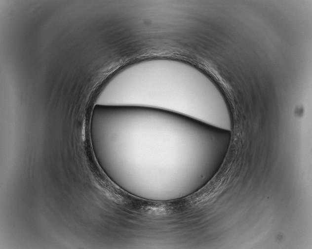 X0000101100068200806261055