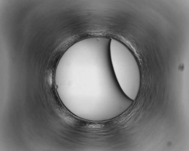 X0000101100069200806261055