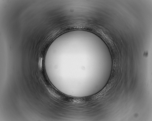 X0000101100070200806261055