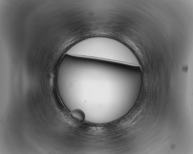 X0000101100071200806261055