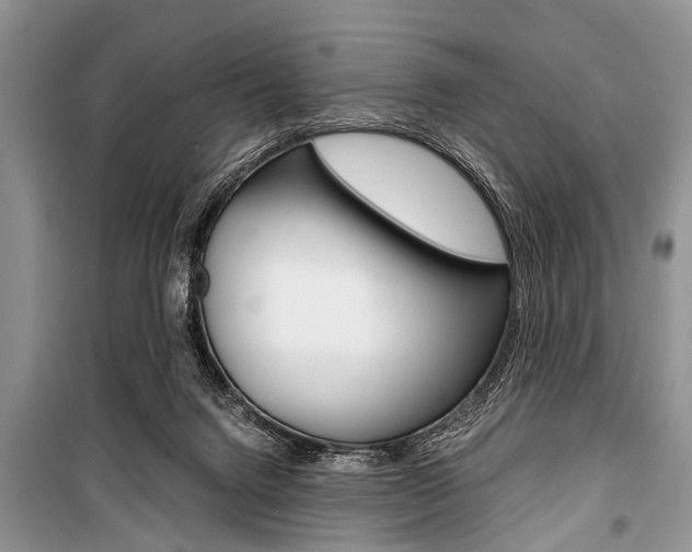 X0000101100072200806261055