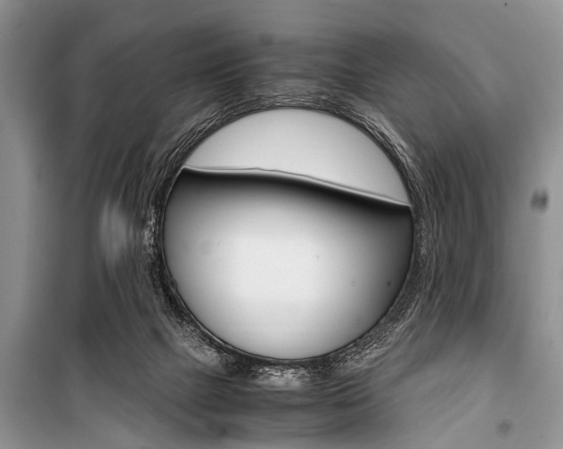 X0000101100073200806261055