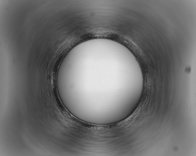 X0000101100074200806261055