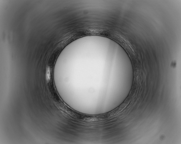 X0000101100075200806261055