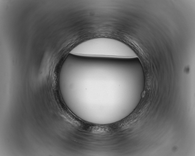 X0000101100077200806261055