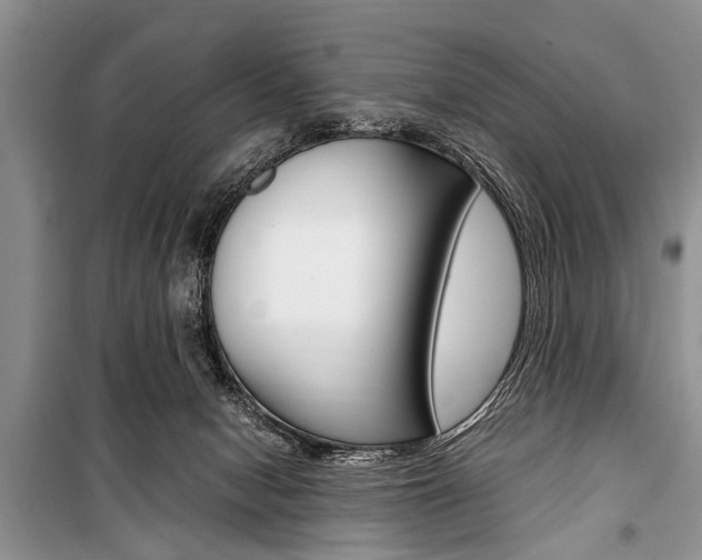 X0000101100078200806261055