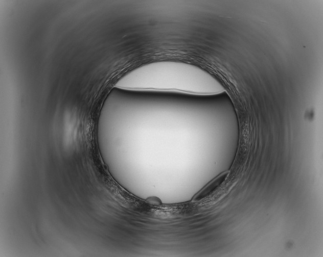 X0000101100079200806261055