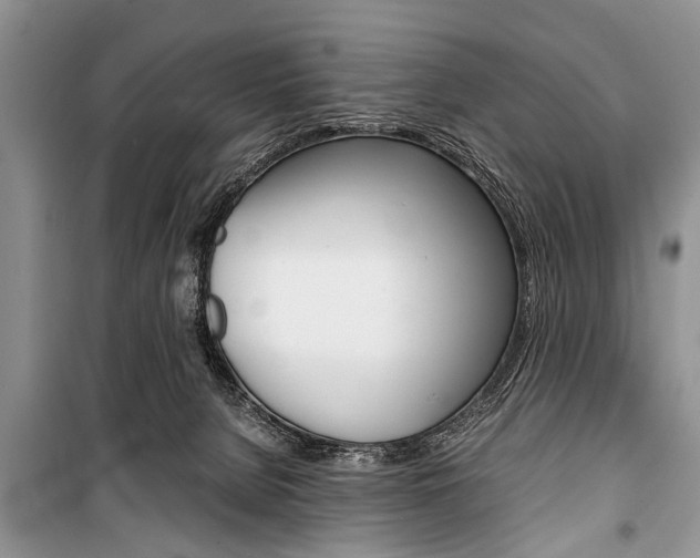 X0000101100080200806261055