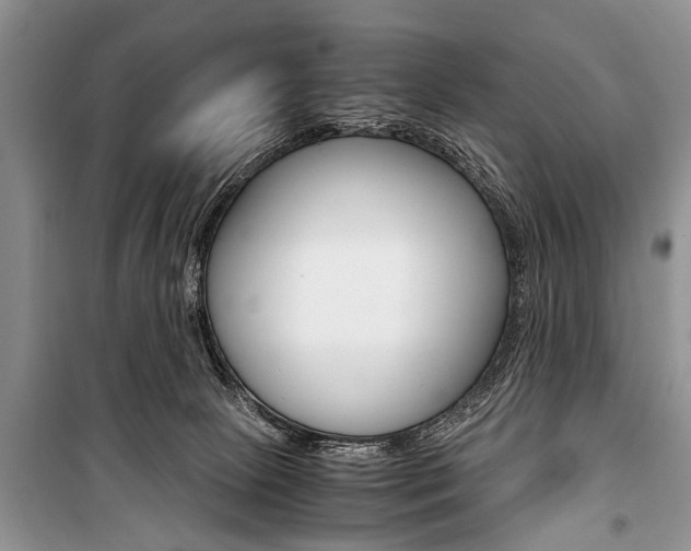 X0000101100081200806261055