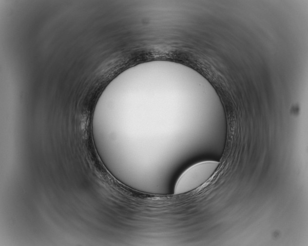 X0000101100082200806261055