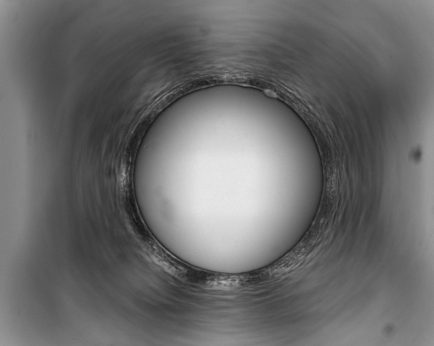 X0000101100084200806261055