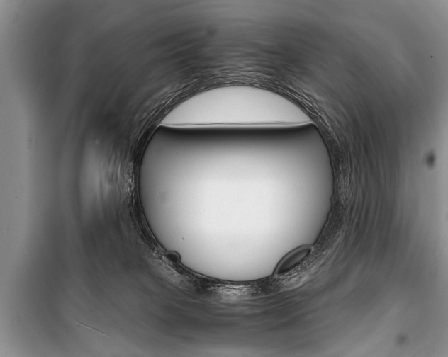 X0000101100085200806261055