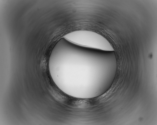 X0000101100086200806261055