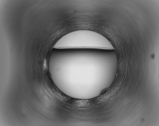 X0000101100089200806261055