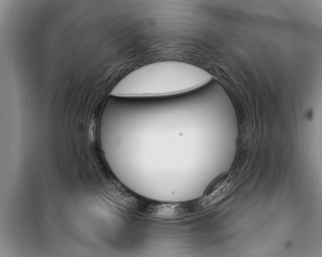 X0000101100090200806261055